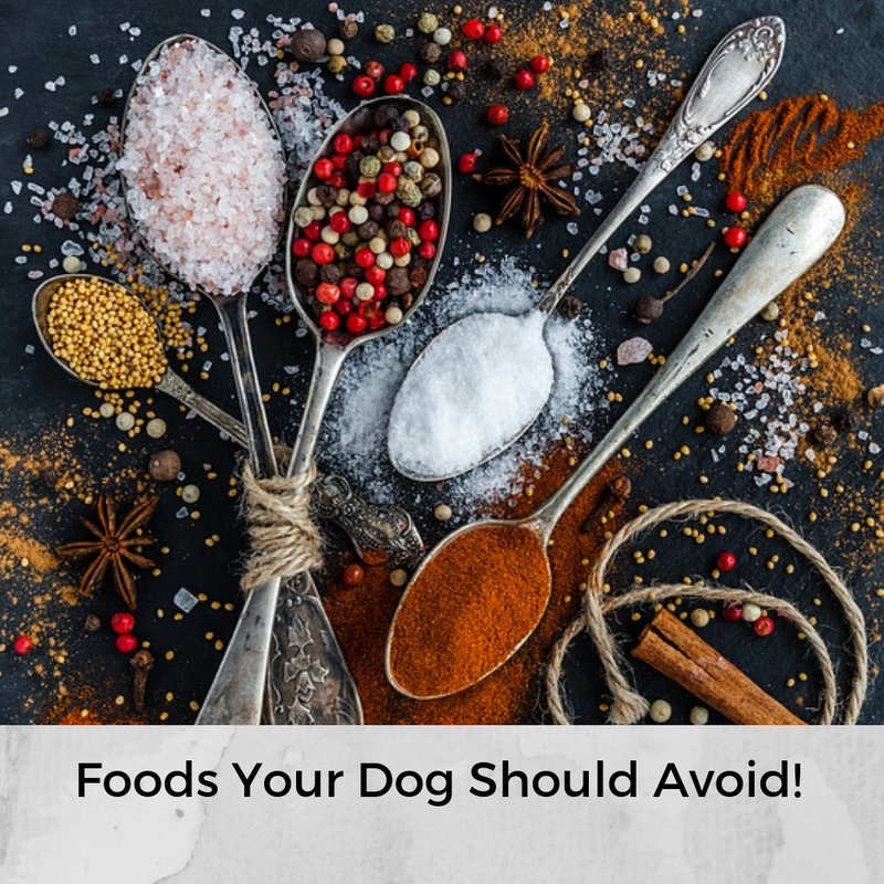 Foods Your Dog Should Avoid!
