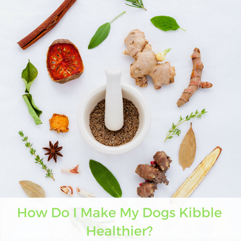 How Do I Make My Dogs Kibble Healthier? | Bubu Brands
