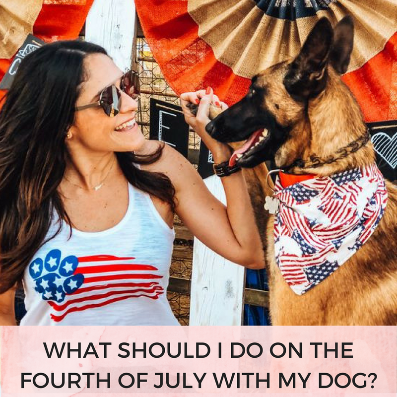 What Should I Do On The Fourth Of July With My Dog? | Bubu Brands