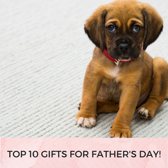 Puppy Top 10 Gifts For Fathers Day | Bubu Brands