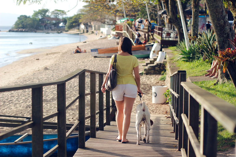 Top 10 Pet-Friendly Travel Destinations in the US